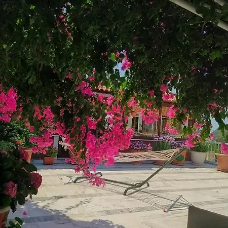酒店 Akdeniz *