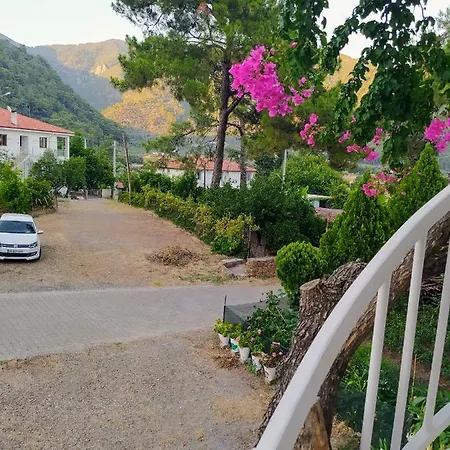 Akdeniz 穆拉