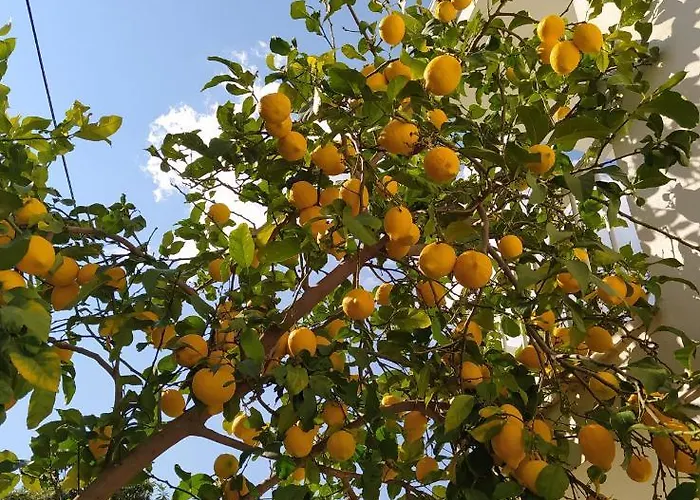 Akdeniz